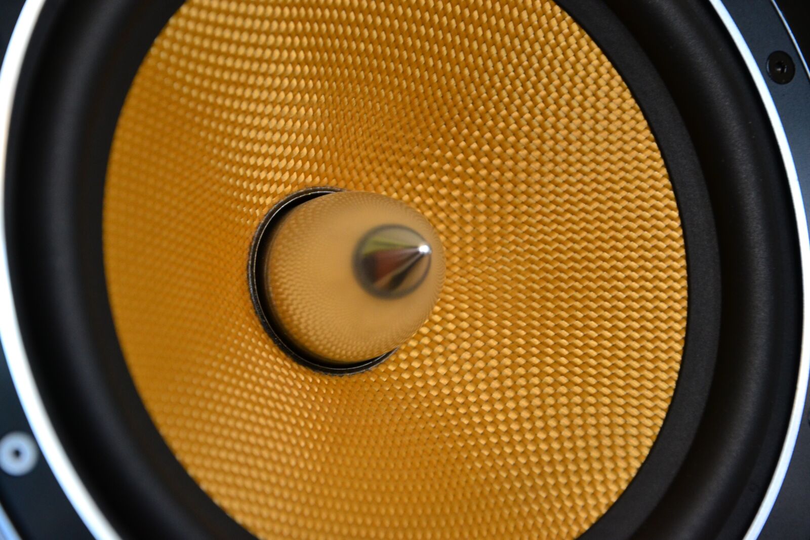 Nikon D3100 sample photo. Speaker, music photography