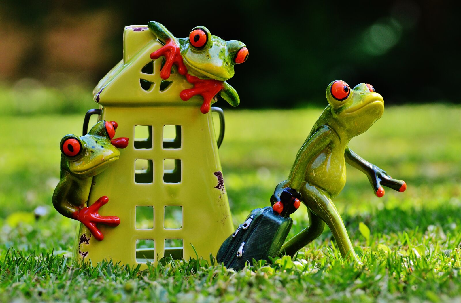Nikon D3200 sample photo. Frogs, farewell, house photography