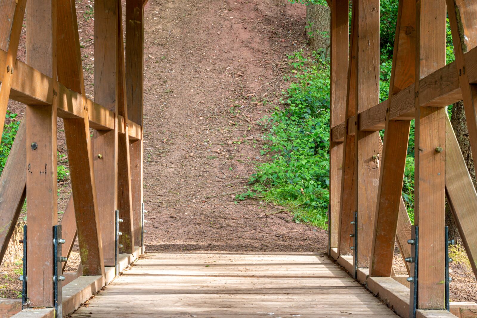 Canon EOS 70D + Canon EF 50mm F1.8 STM sample photo. Bridge, forest, nature photography