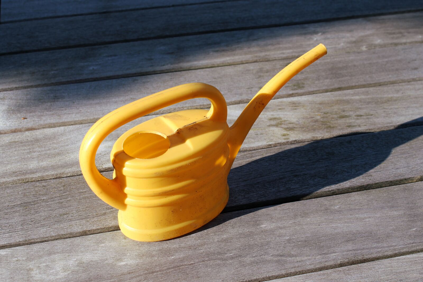 Canon EOS 1100D (EOS Rebel T3 / EOS Kiss X50) sample photo. Watering, watering can, gardening photography