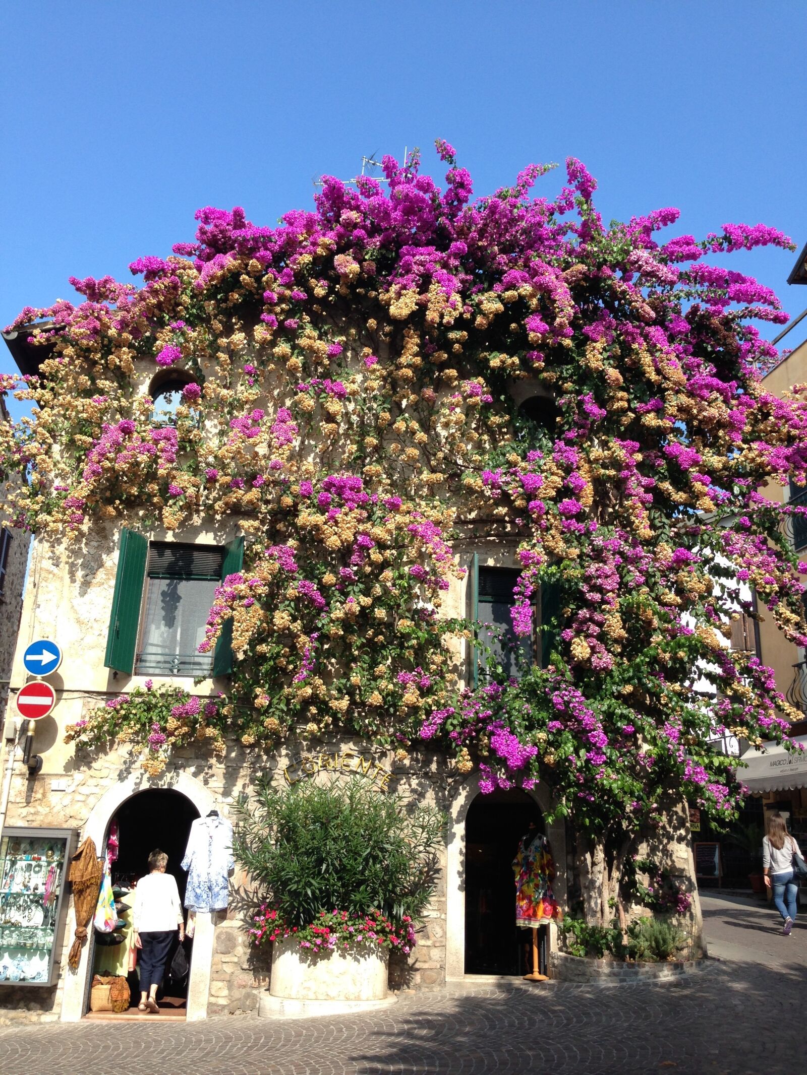 iPhone 5 back camera 4.12mm f/2.4 sample photo. Sirmione, flowers, house photography