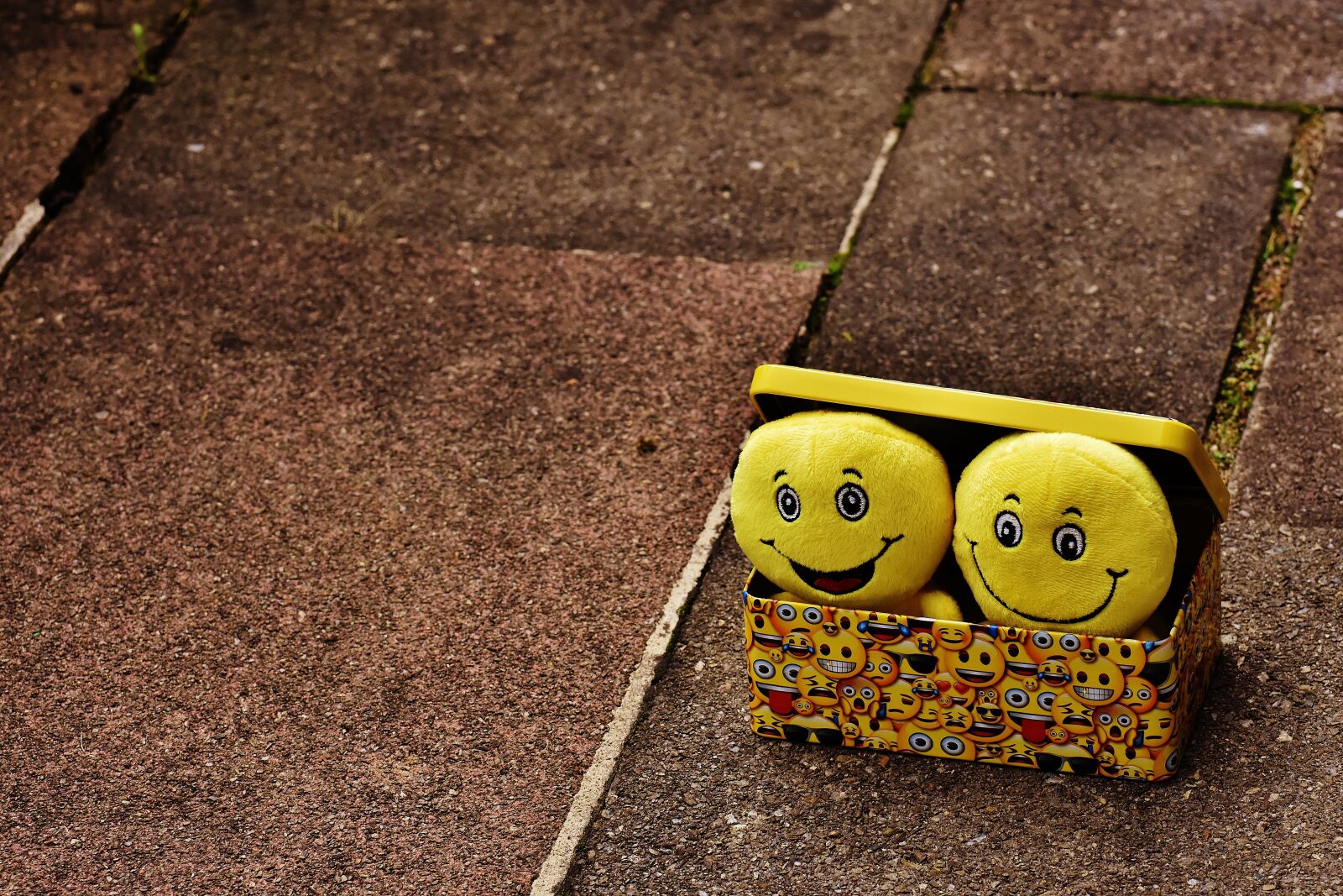 Nikon D7200 sample photo. Smilies, yellow, funny photography
