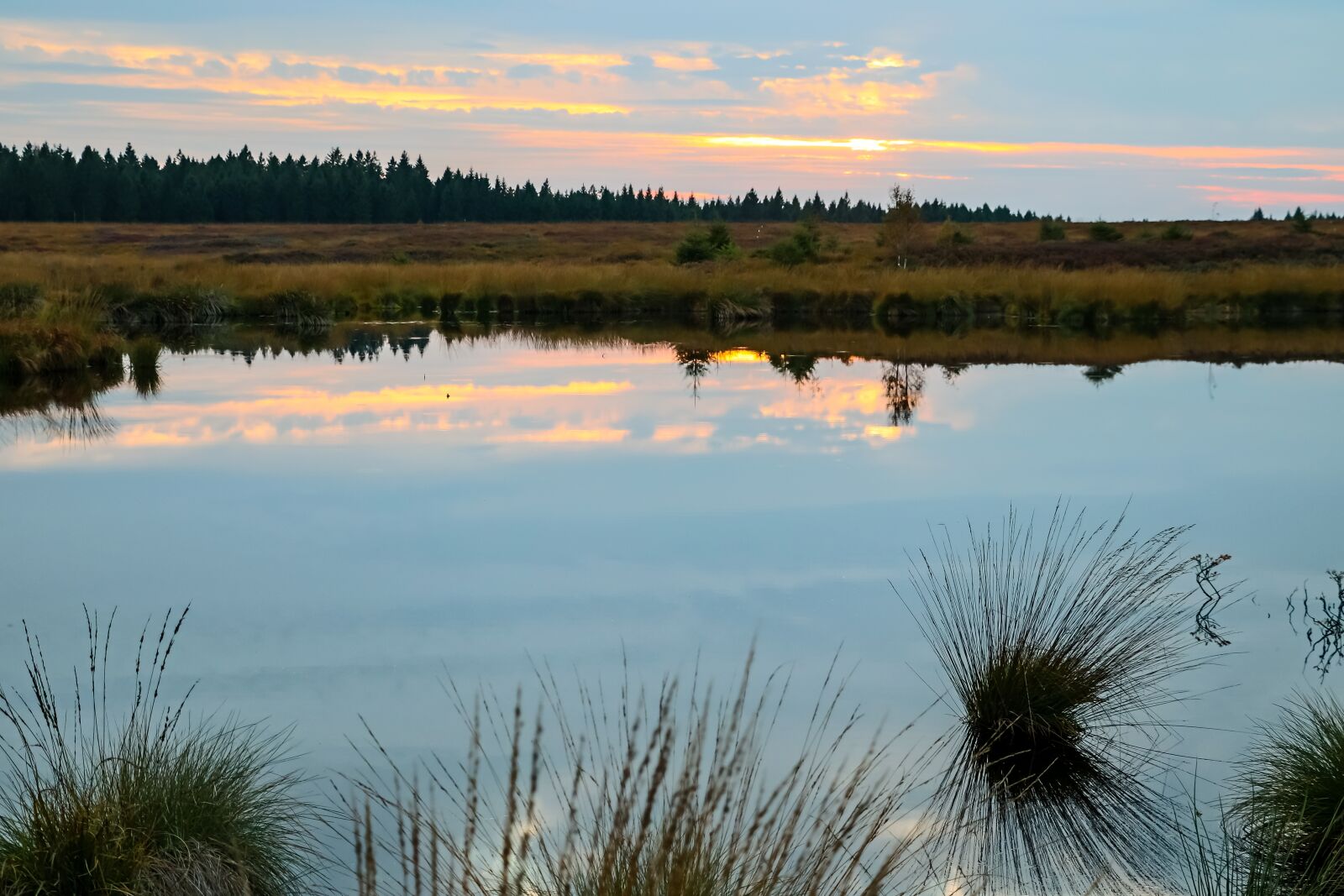 Canon EOS 80D sample photo. Moor, swamp, landscape photography