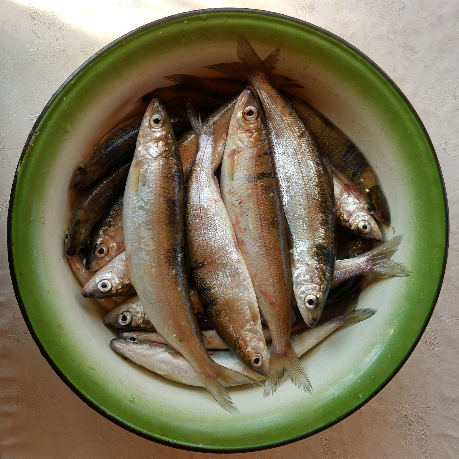LG G4 sample photo. Fish, food, fresh photography