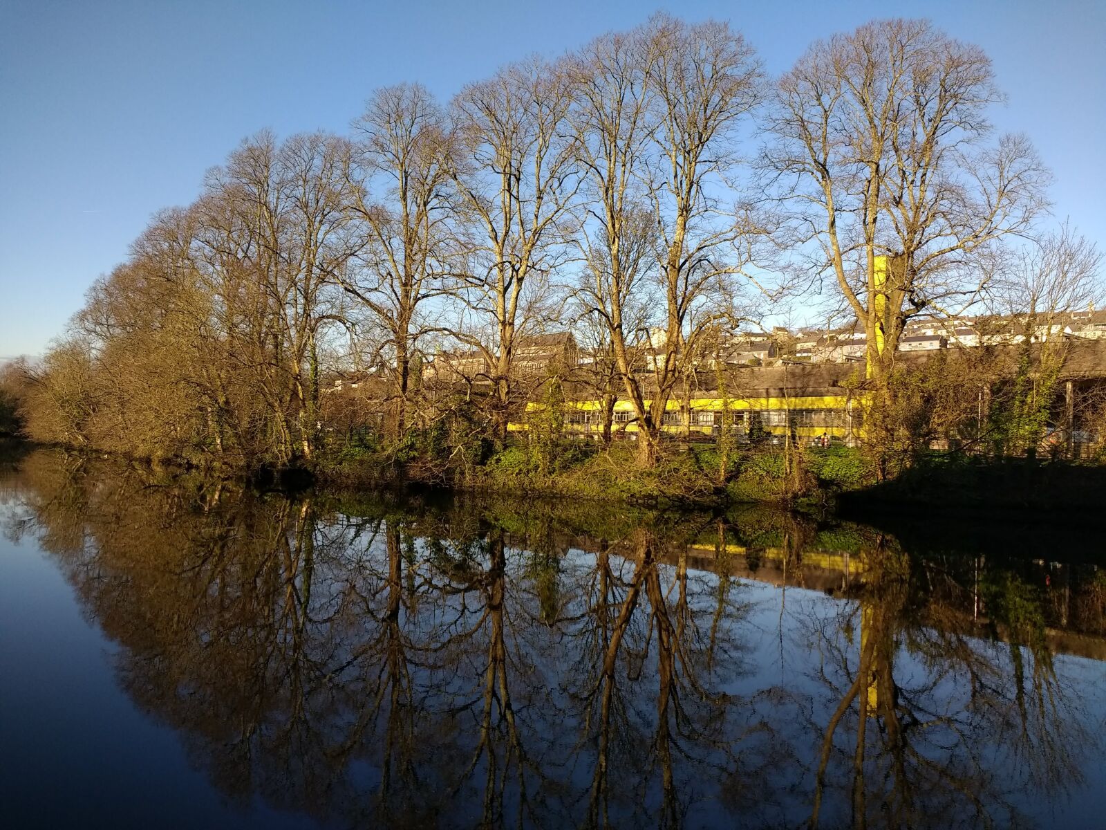 Motorola Moto G (4) sample photo. Reflection, water, nature photography
