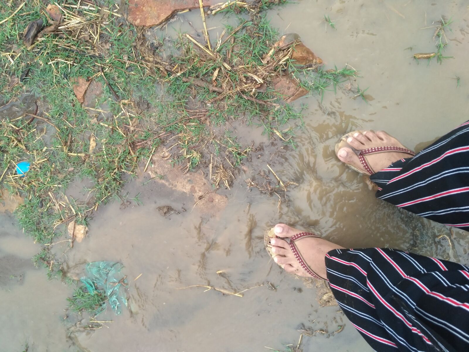Xiaomi Redmi 3S sample photo. Dirt, water, rain photography