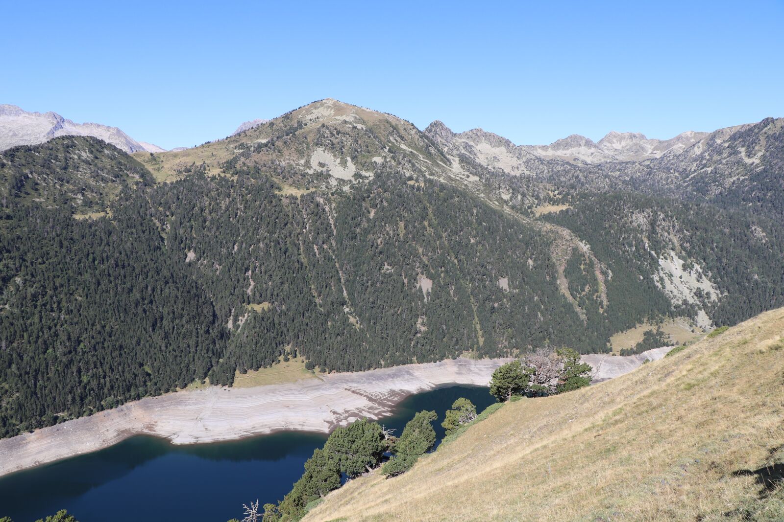 Canon EF-S 18-135mm F3.5-5.6 IS USM sample photo. Pyrenees, mountain, fir photography