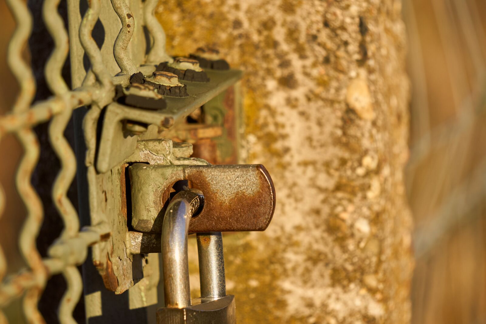 Sony E 55-210mm F4.5-6.3 OSS sample photo. Castle, padlock, closed photography