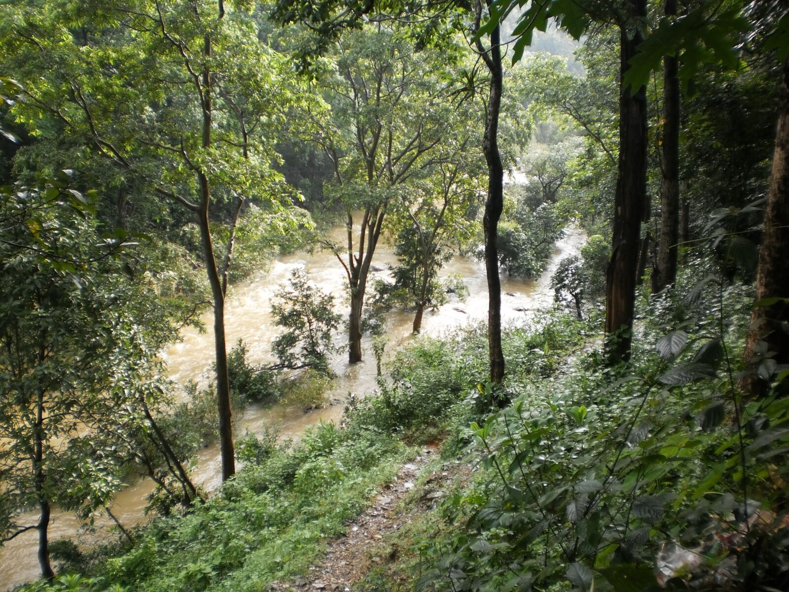 Olympus T105,T100,X36 sample photo. Floods, valley, monsoon photography