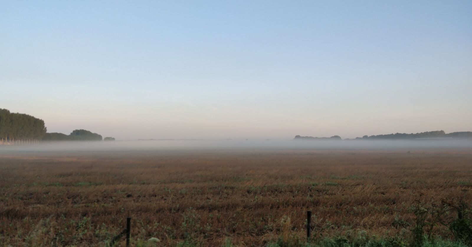 OnePlus 5 sample photo. Fog, pasture, morning photography