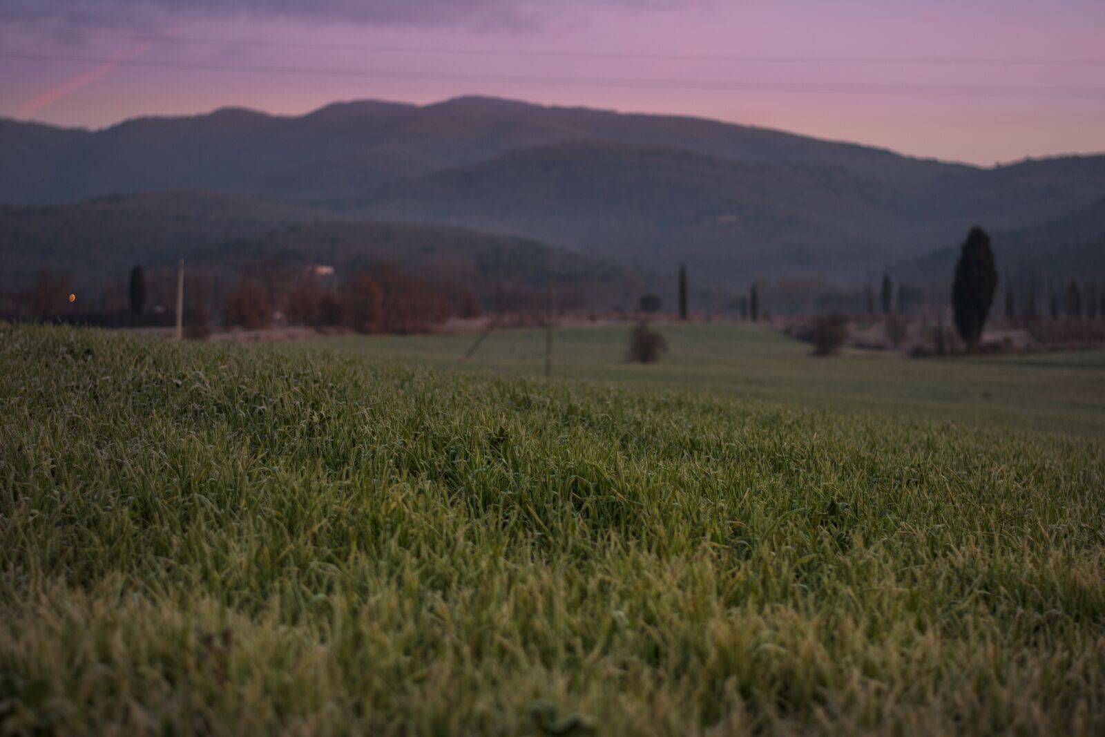 Nikon D5600 sample photo. Landscape, field, tuscany photography