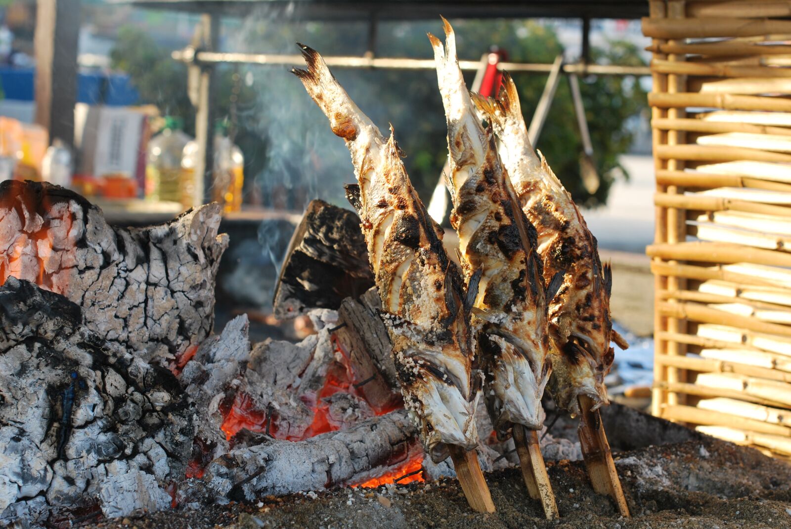Nikon D60 sample photo. Fish, barbecue, fire photography