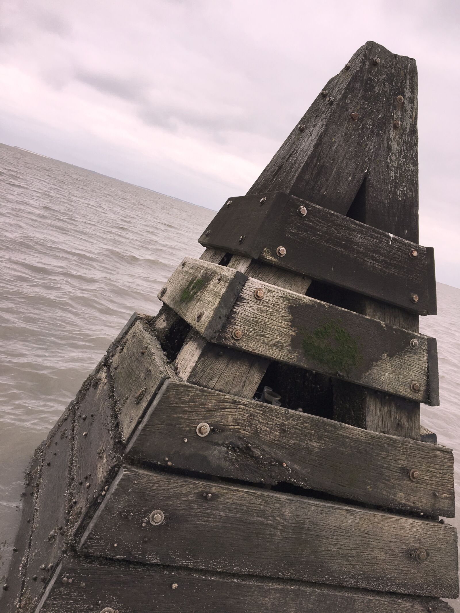 Apple iPhone 6s sample photo. North sea, wood, boje photography