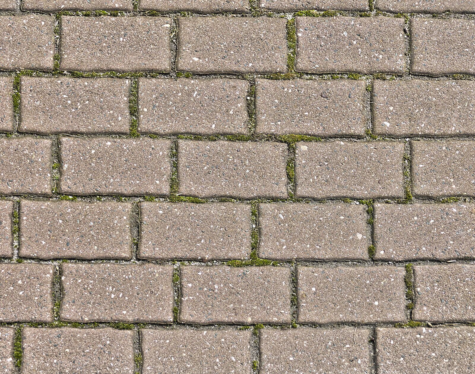 Panasonic Lumix DMC-FZ1000 sample photo. Concrete paving, paving stones photography