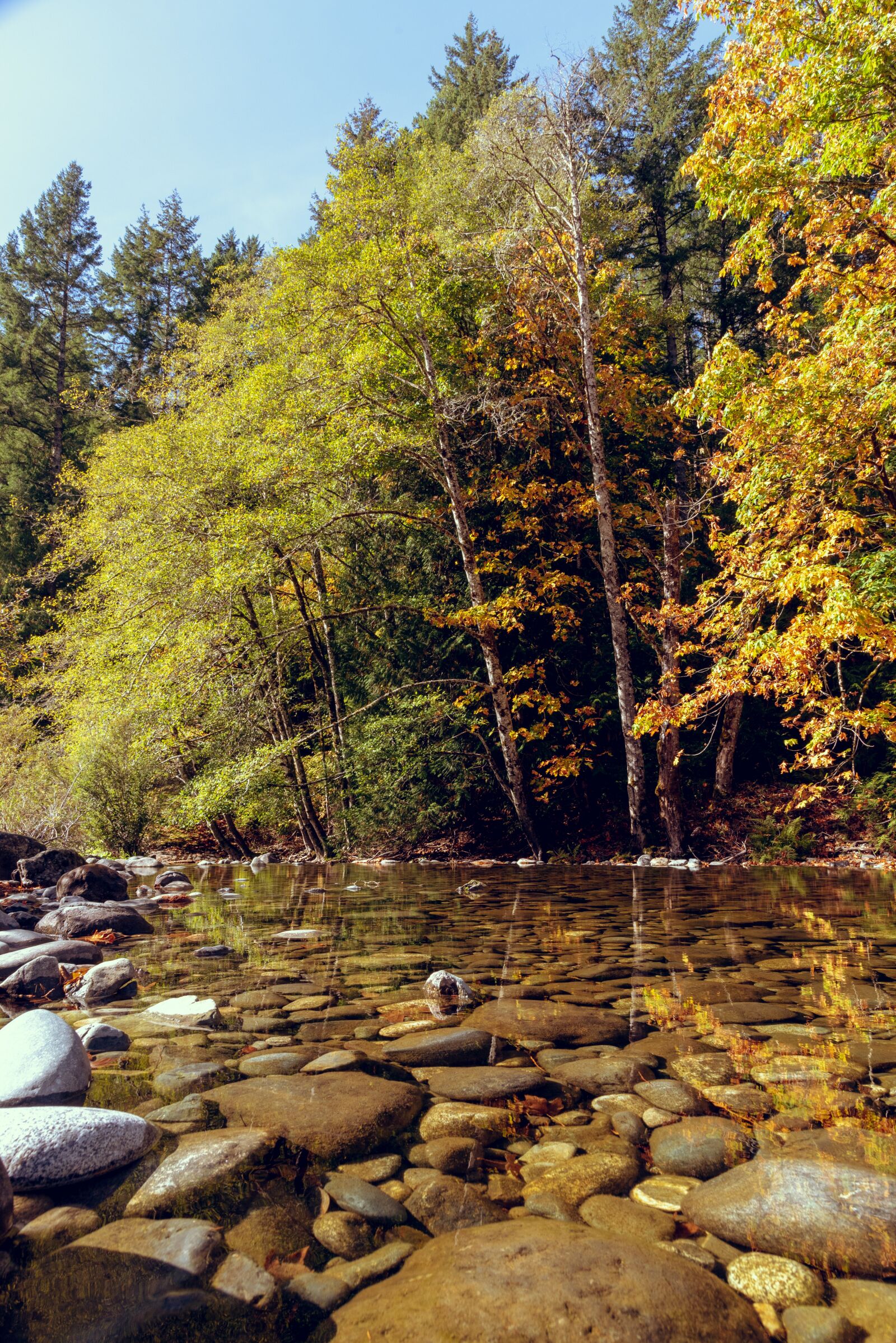 Nikon D750 sample photo. Creek, fall, reflection photography
