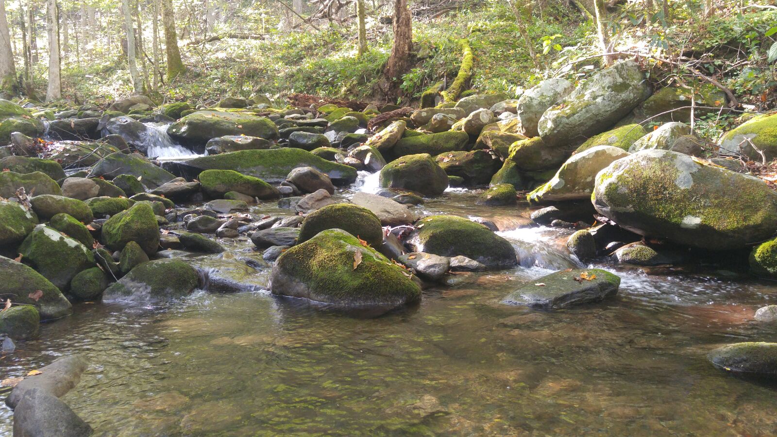 LG G4 sample photo. Moss, covered, rocks, mountain photography