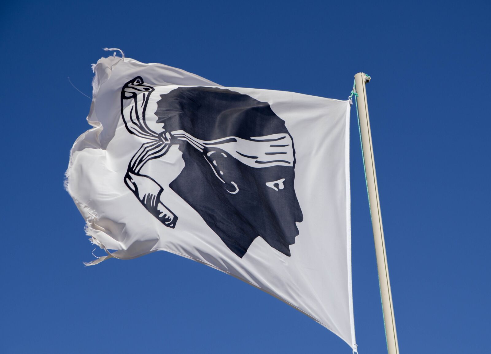 Pentax KP sample photo. Corsican, flag, banner photography
