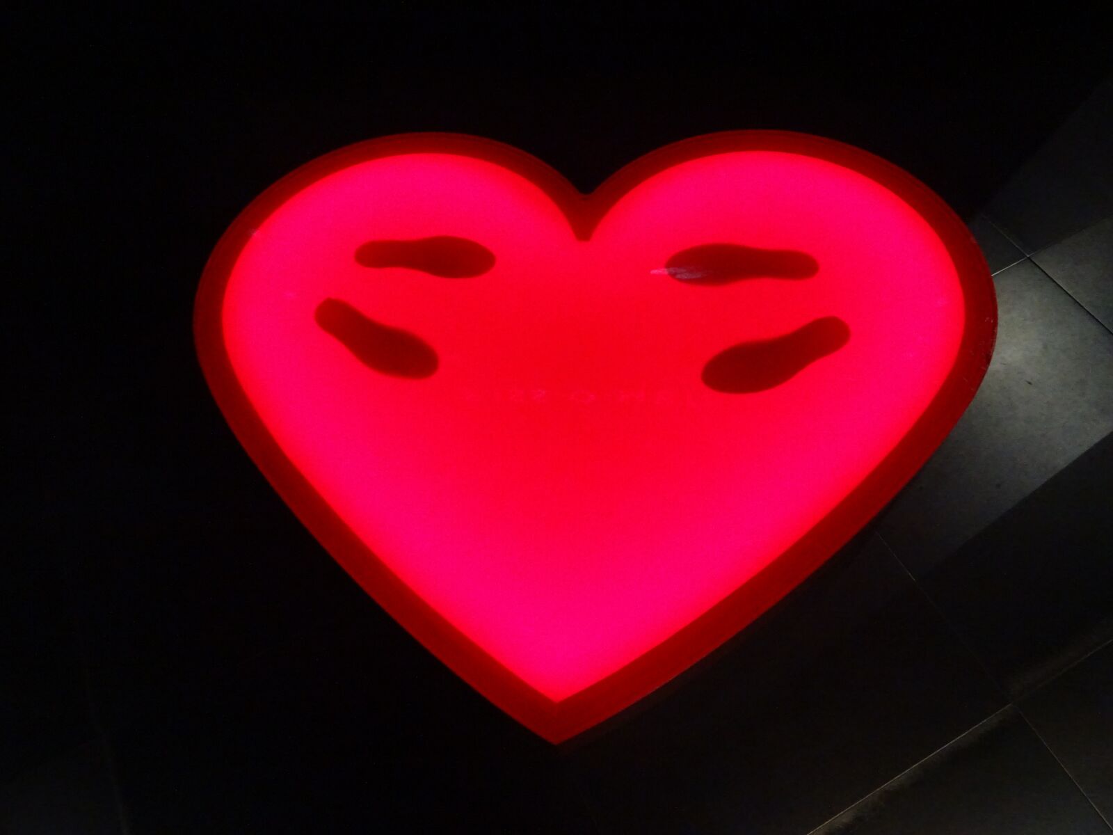 Sony DSC-HX60 sample photo. Heart, steps, footprint photography