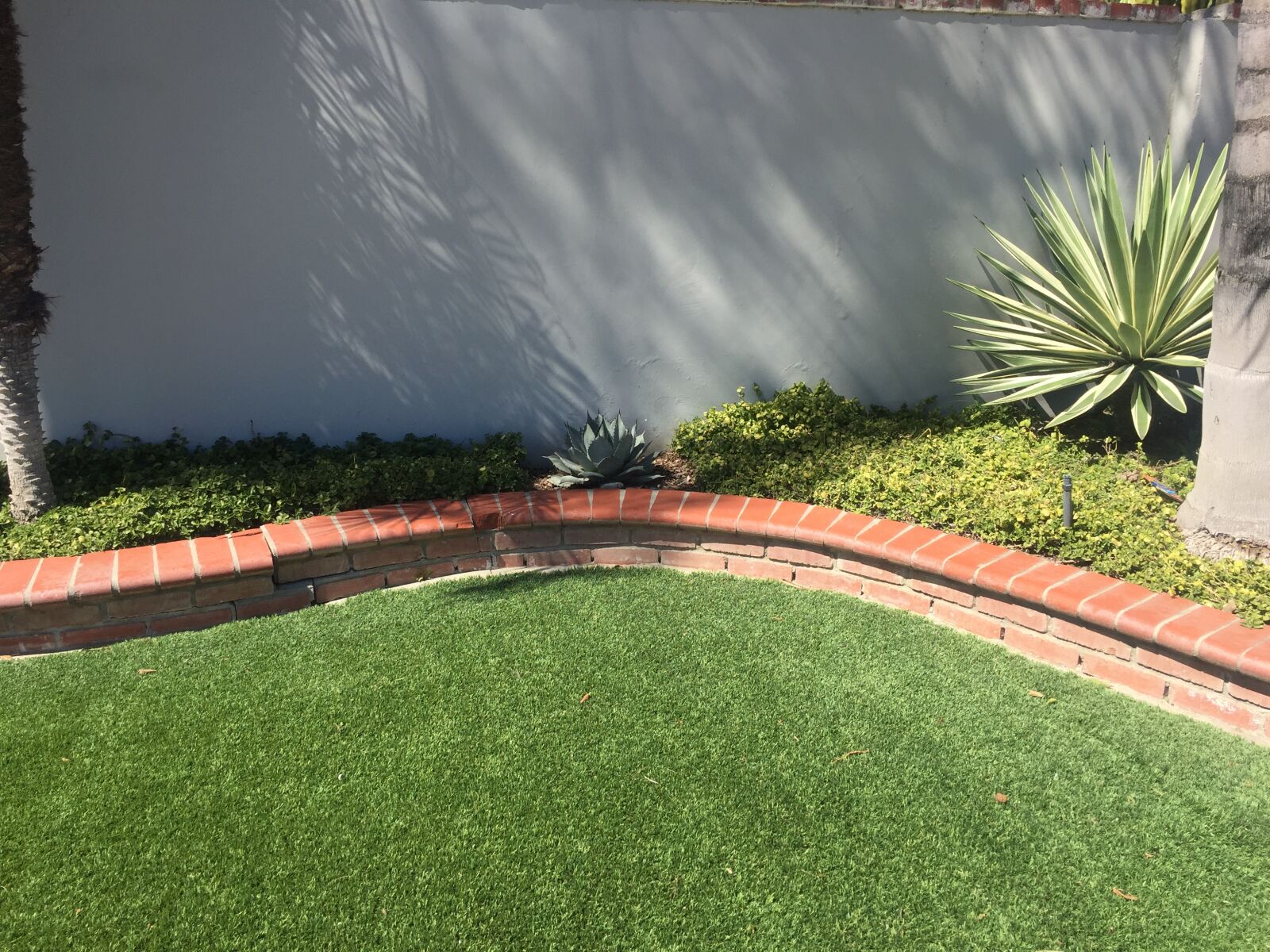 iPhone 6 back camera 4.15mm f/2.2 sample photo. Wall, plants, outdoors photography