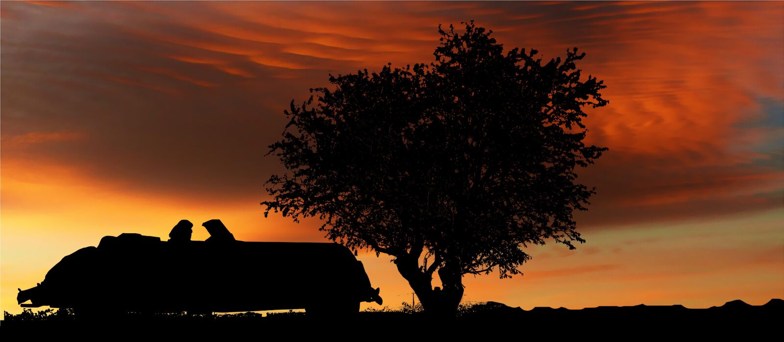 Panasonic Lumix DMC-ZS25 (Lumix DMC-TZ35) sample photo. Sunset, car, tree photography