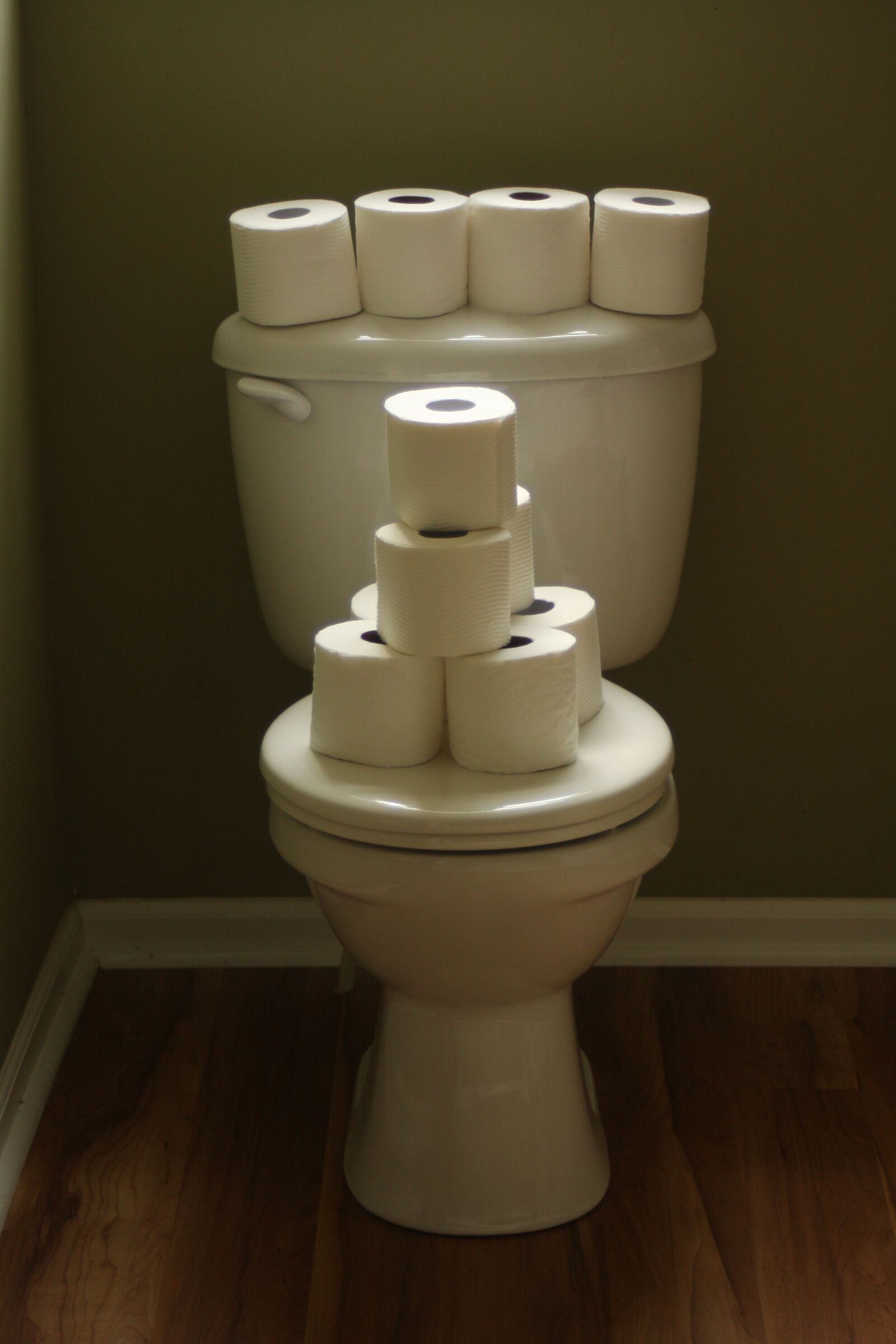 Canon EOS 40D sample photo. Toilet paper, toilet, hygiene photography