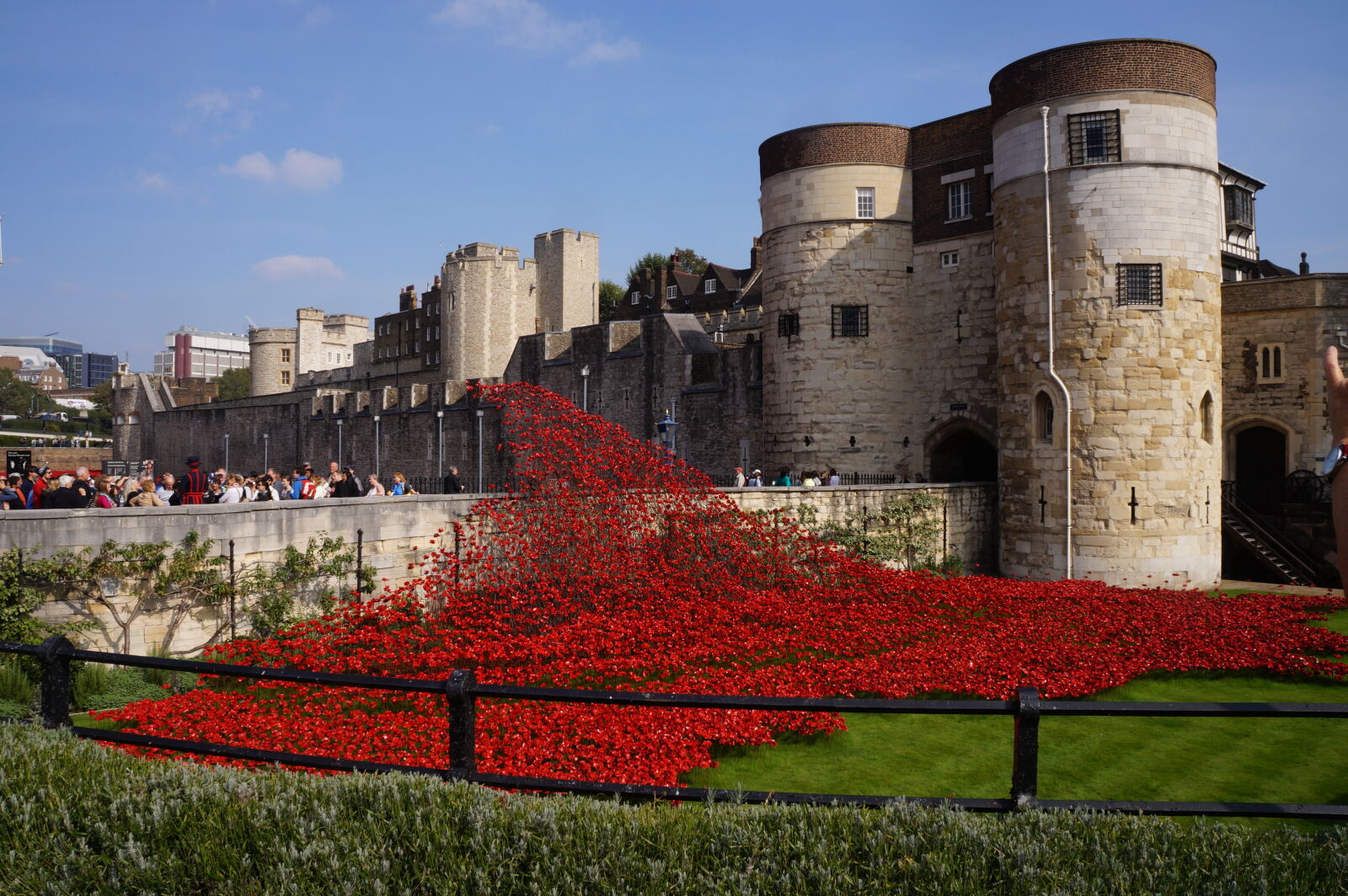 Sony Alpha a3000 + Sony E 18-55mm F3.5-5.6 OSS sample photo. Poppies, rememberance, day, tower photography