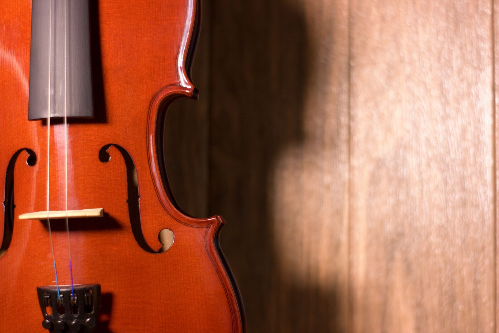 Canon EOS 400D (EOS Digital Rebel XTi / EOS Kiss Digital X) sample photo. Phrases, melodies, wood photography