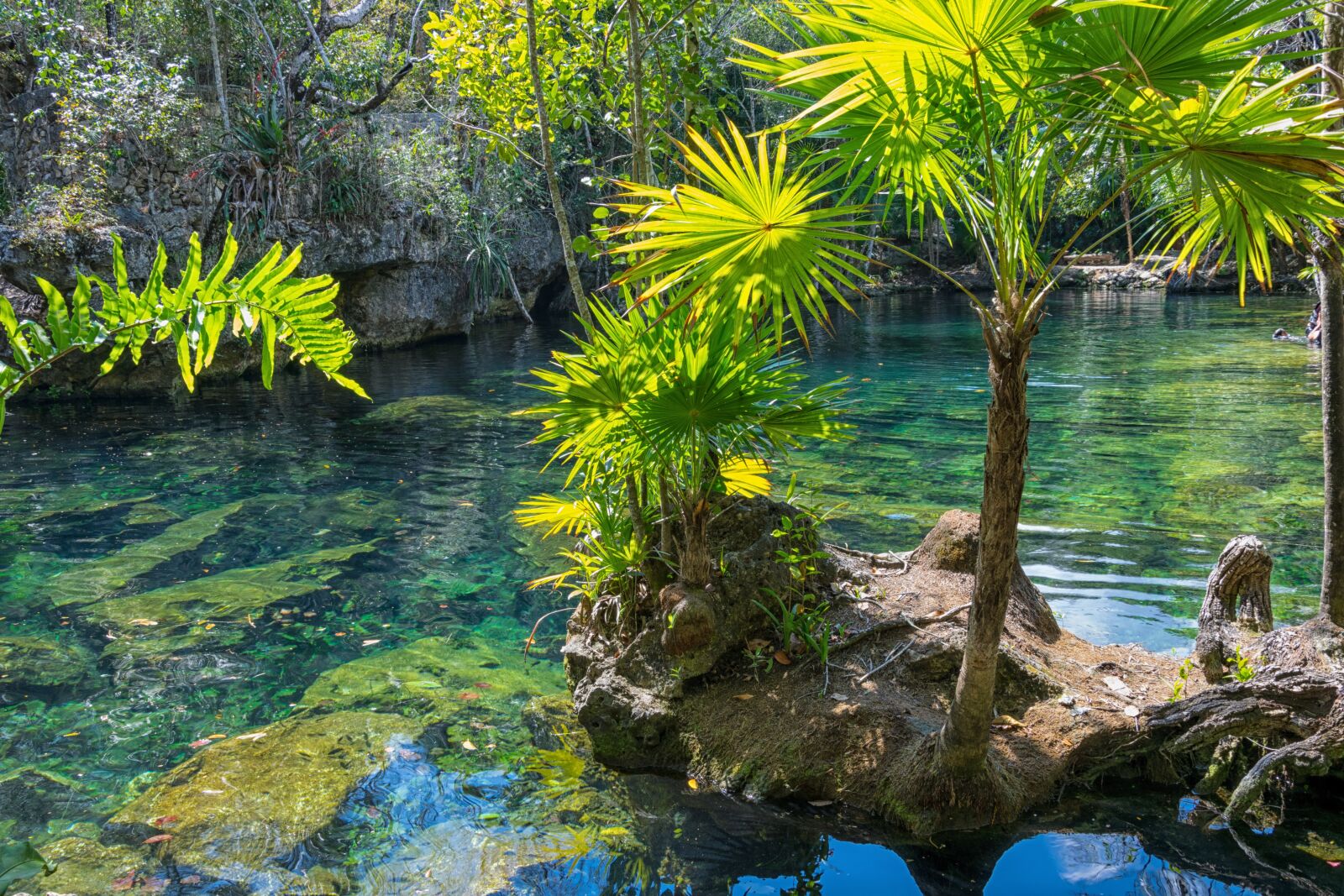 Nikon D5300 sample photo. Mexico, yucatan, cenote photography