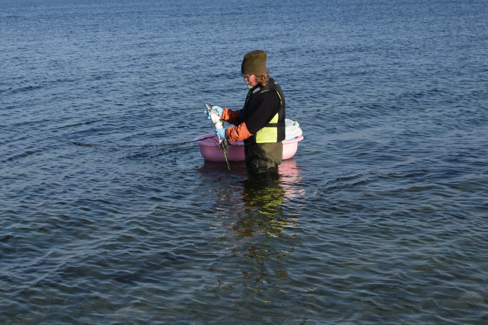 Nikon D5300 sample photo. Fish, fishing, lake photography