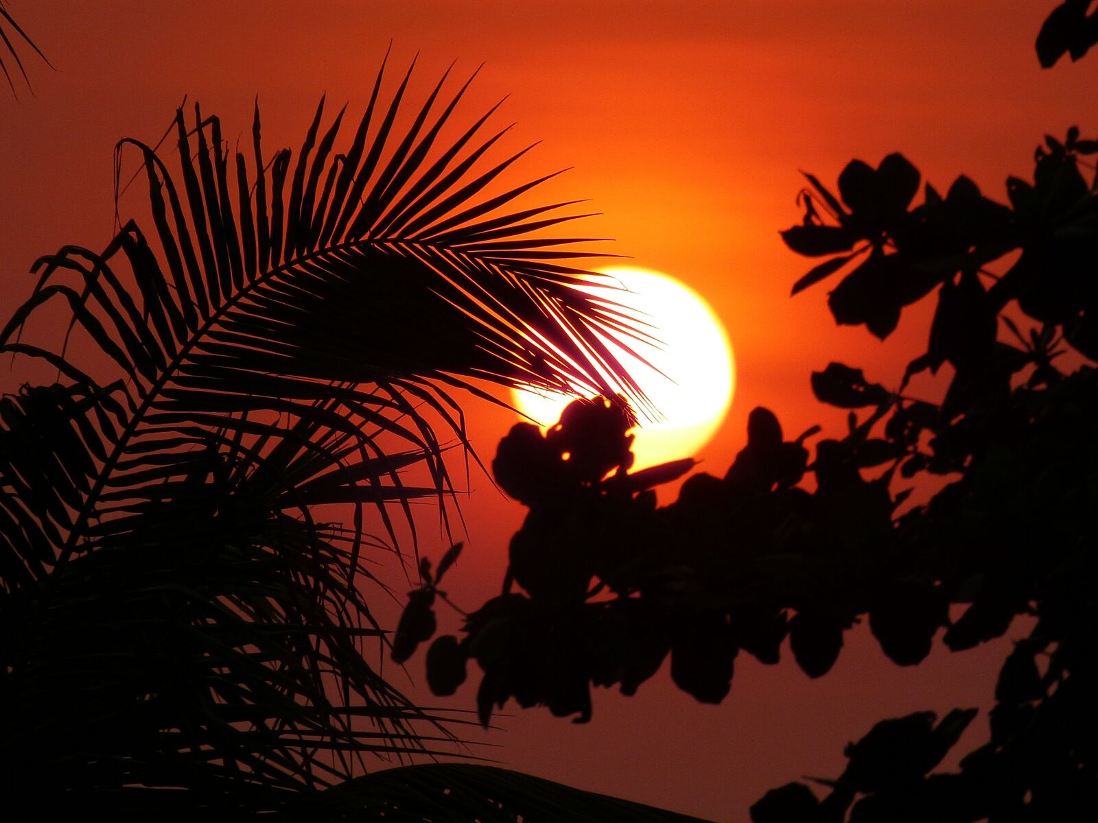 Panasonic Lumix DMC-FZ150 sample photo. Vietnam, sunset, sun photography