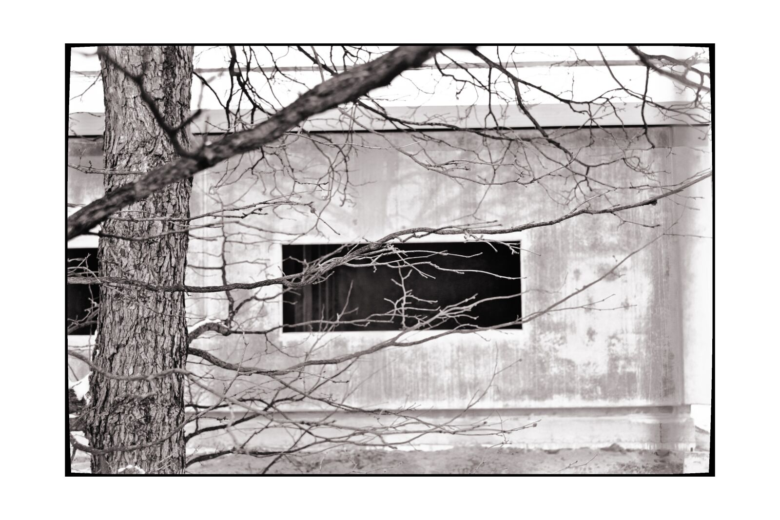 Canon EOS 10D sample photo. Black and white, sw photography