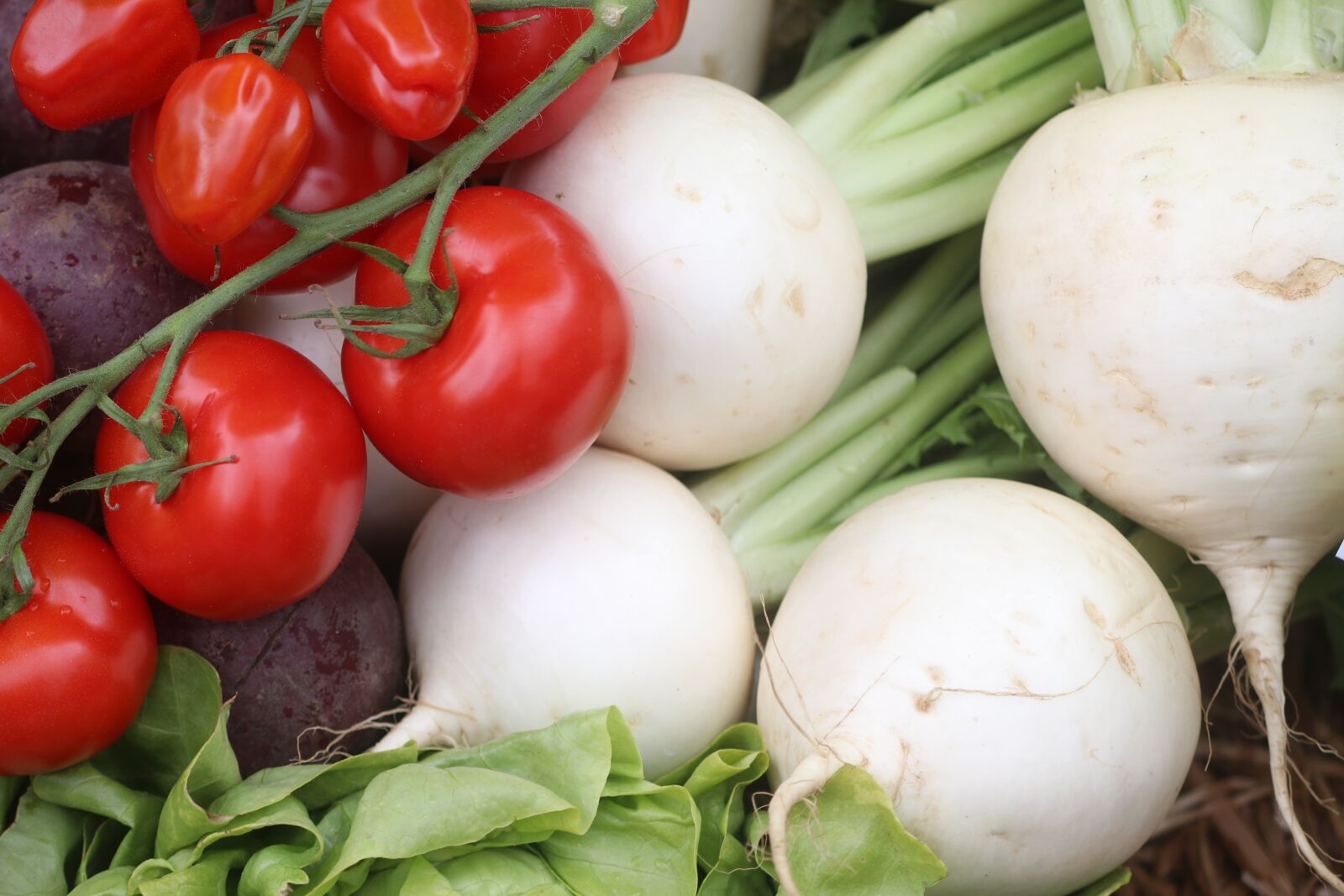 Canon EOS 80D sample photo. Vegetables, tomatoes, food photography