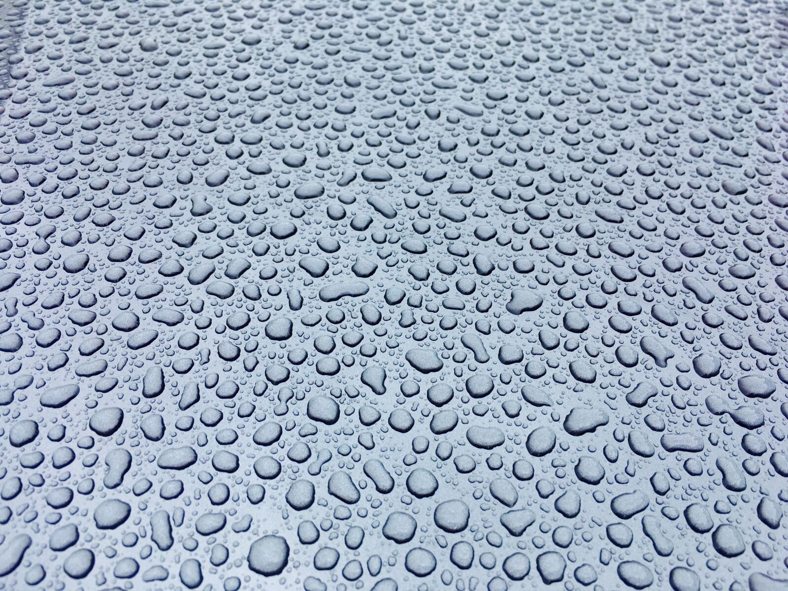 iPhone SE back camera 4.15mm f/2.2 sample photo. Rain, raindrop, water photography