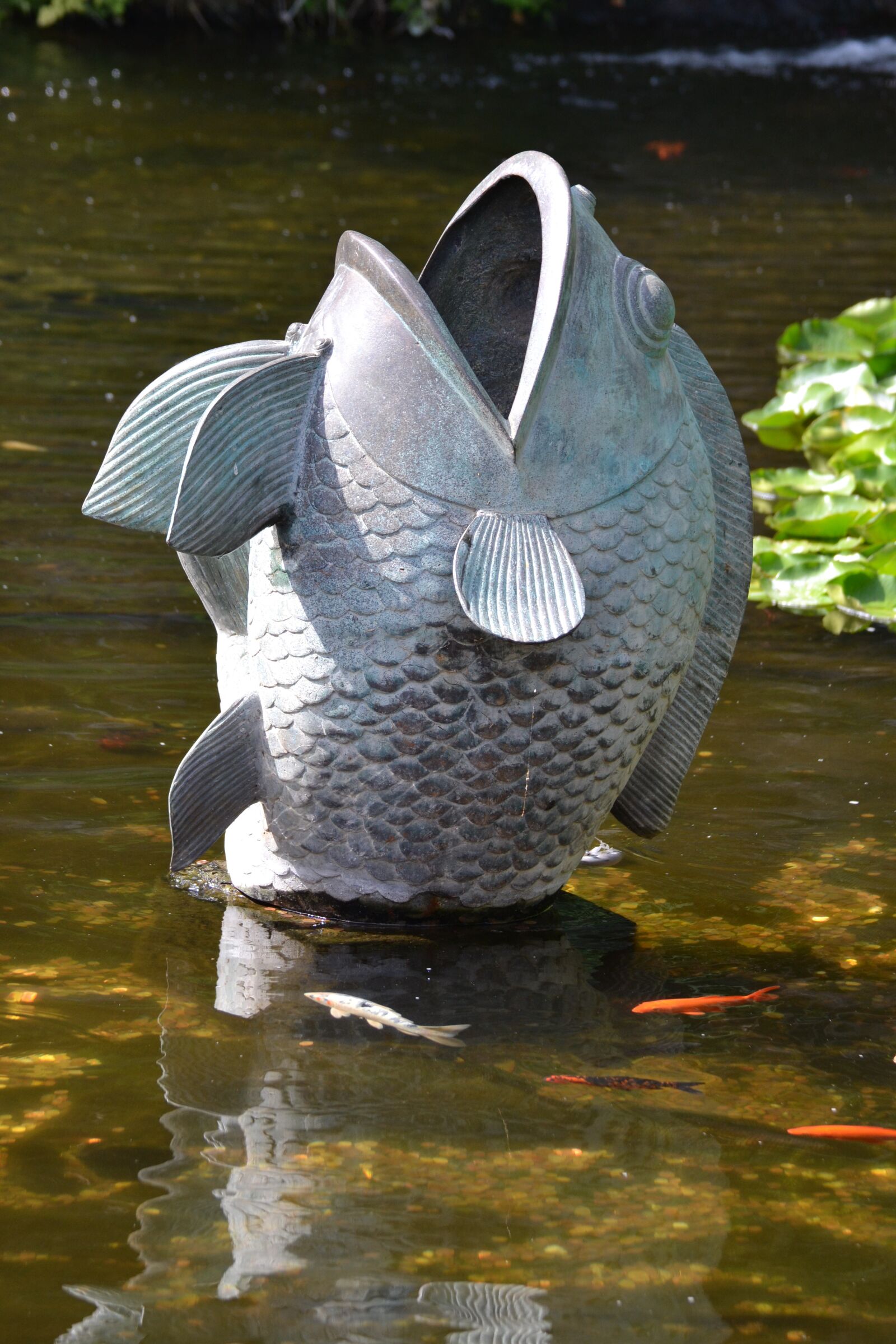 Nikon D3100 sample photo. Fish, pond, biotope photography