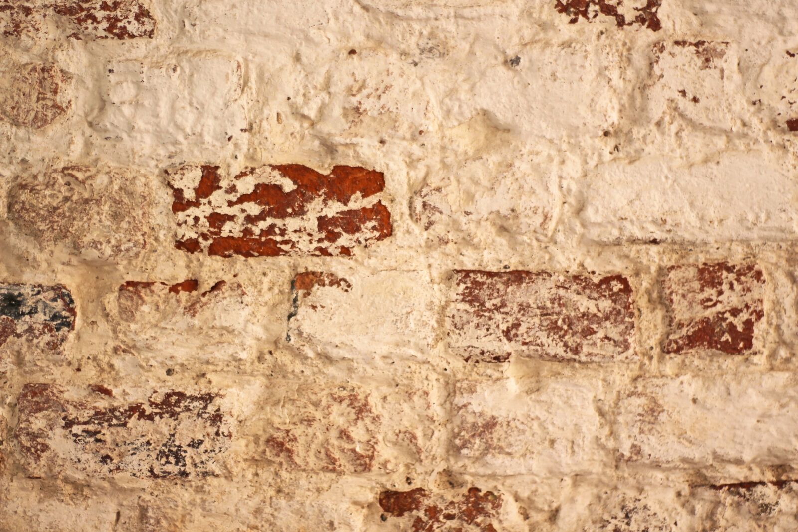 Canon EOS 700D (EOS Rebel T5i / EOS Kiss X7i) sample photo. Background, wall, lime paint photography