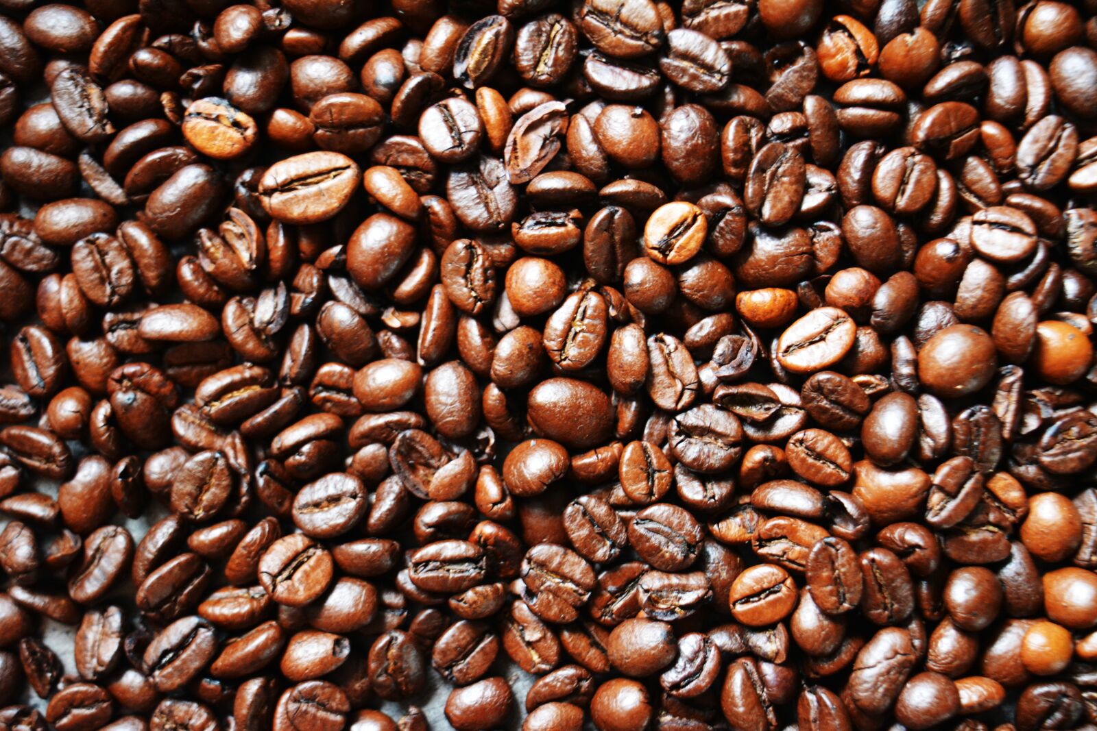 Nikon D5200 sample photo. Coffee, coffee beans, caffeine photography