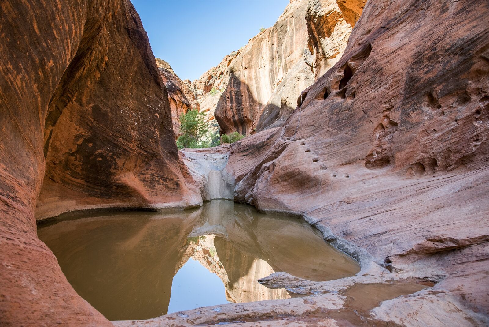 Nikon D750 sample photo. Red rock, red cliffs photography