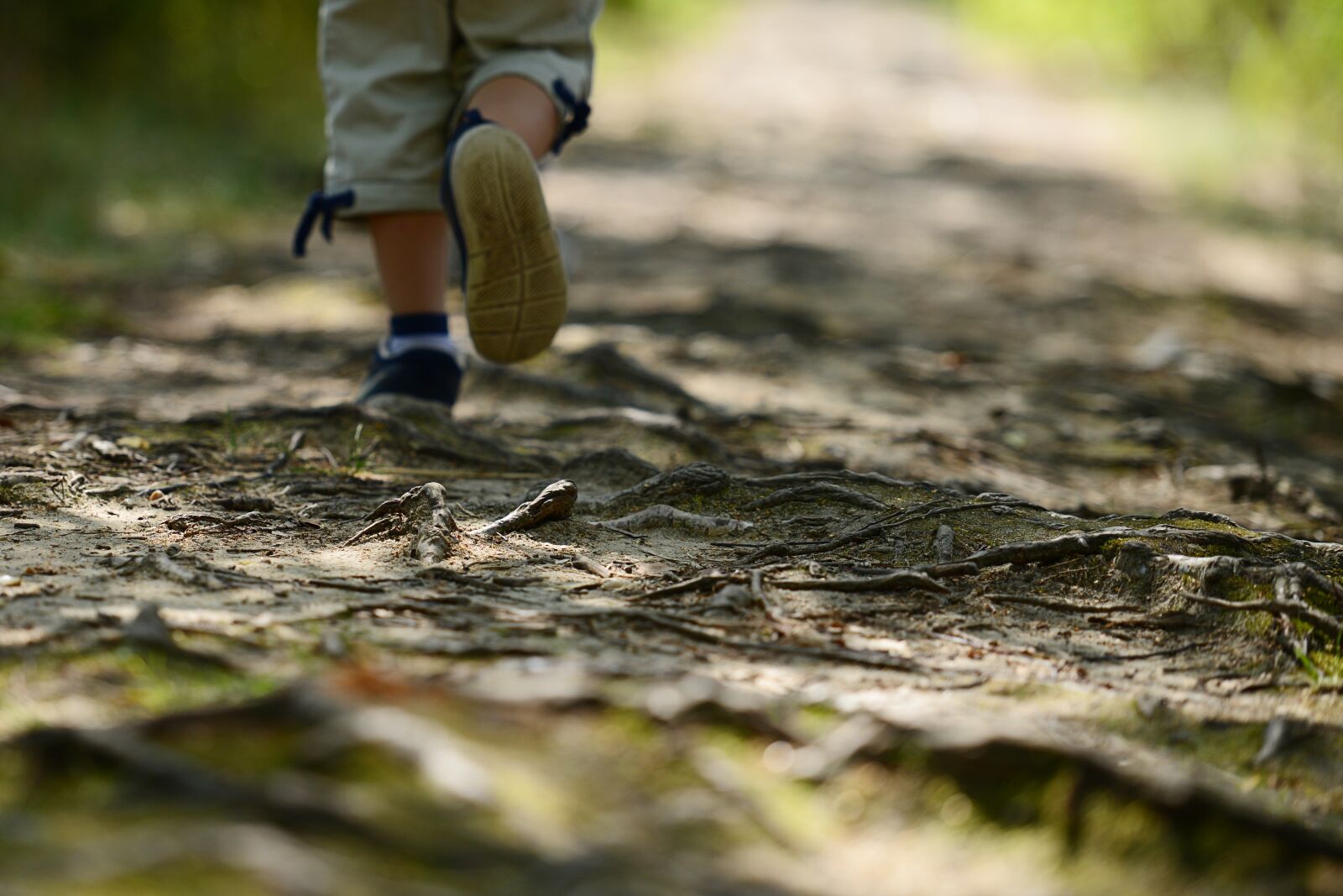 Nikon D600 sample photo. Child, wandering, the path photography