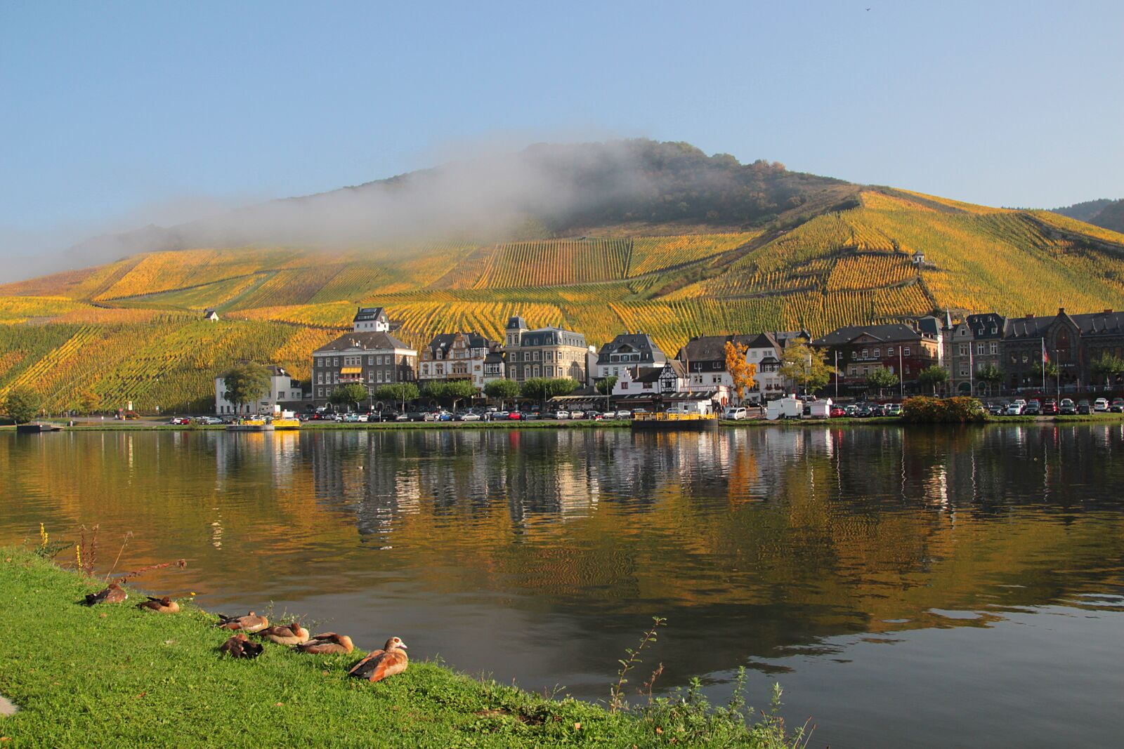 Canon EOS 700D (EOS Rebel T5i / EOS Kiss X7i) sample photo. Mosel, vineyards, mirroring photography