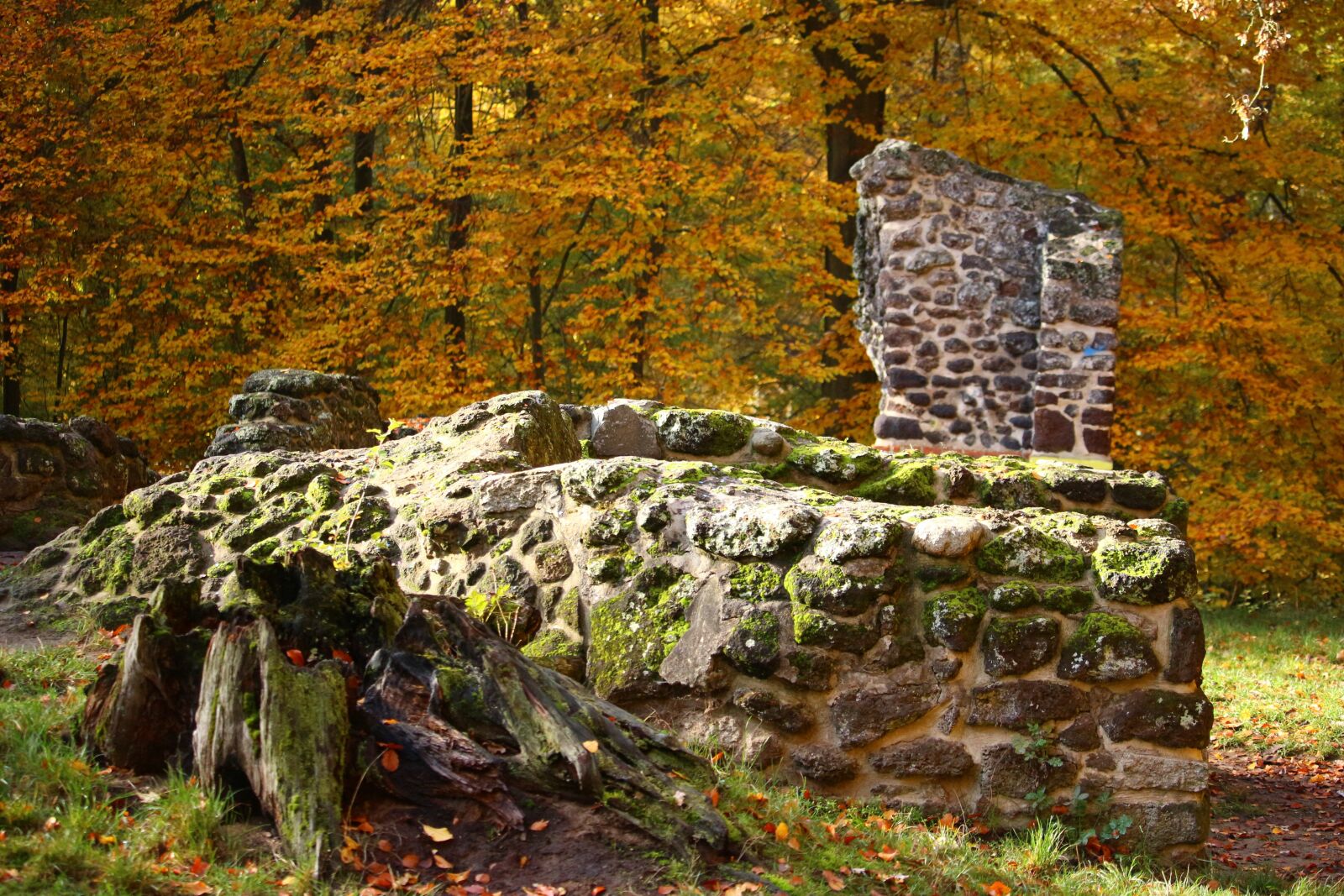 Canon EOS 100D (EOS Rebel SL1 / EOS Kiss X7) sample photo. Ruin, autumn, stone wall photography