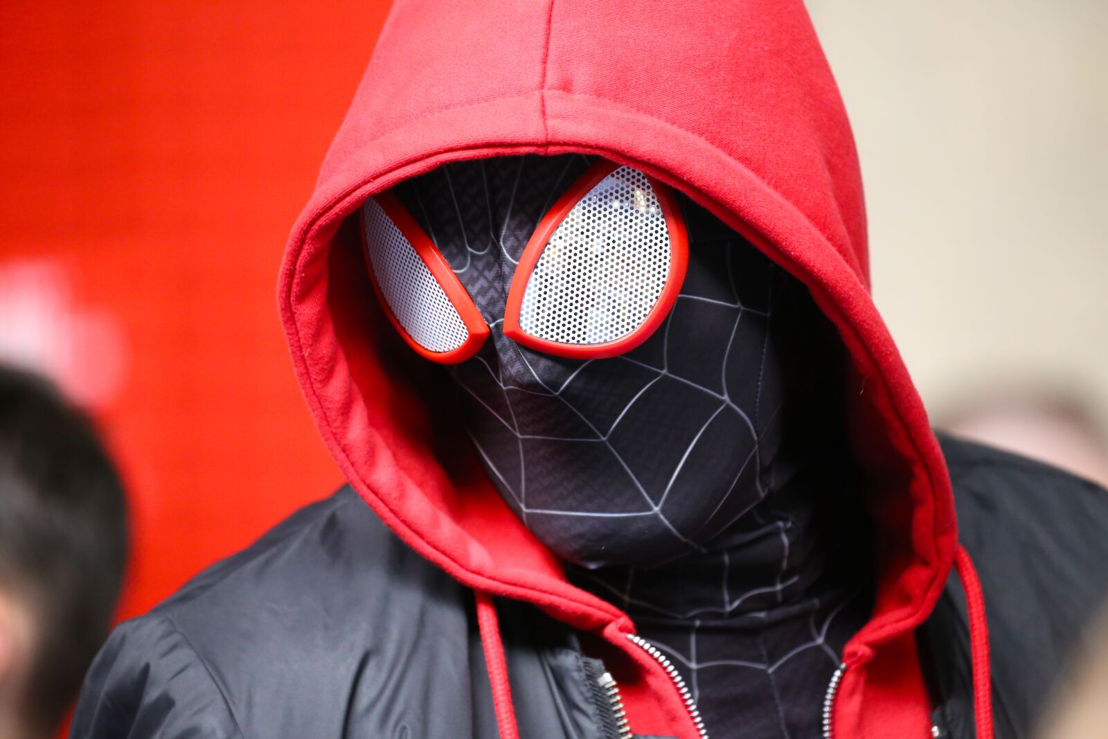 Canon EOS 6D sample photo. Spider, marvel, spiderman photography