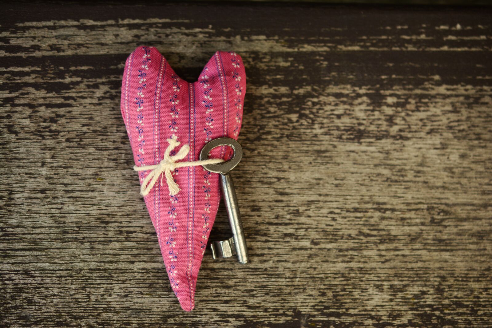 Nikon D5200 sample photo. Heart, key, trust photography