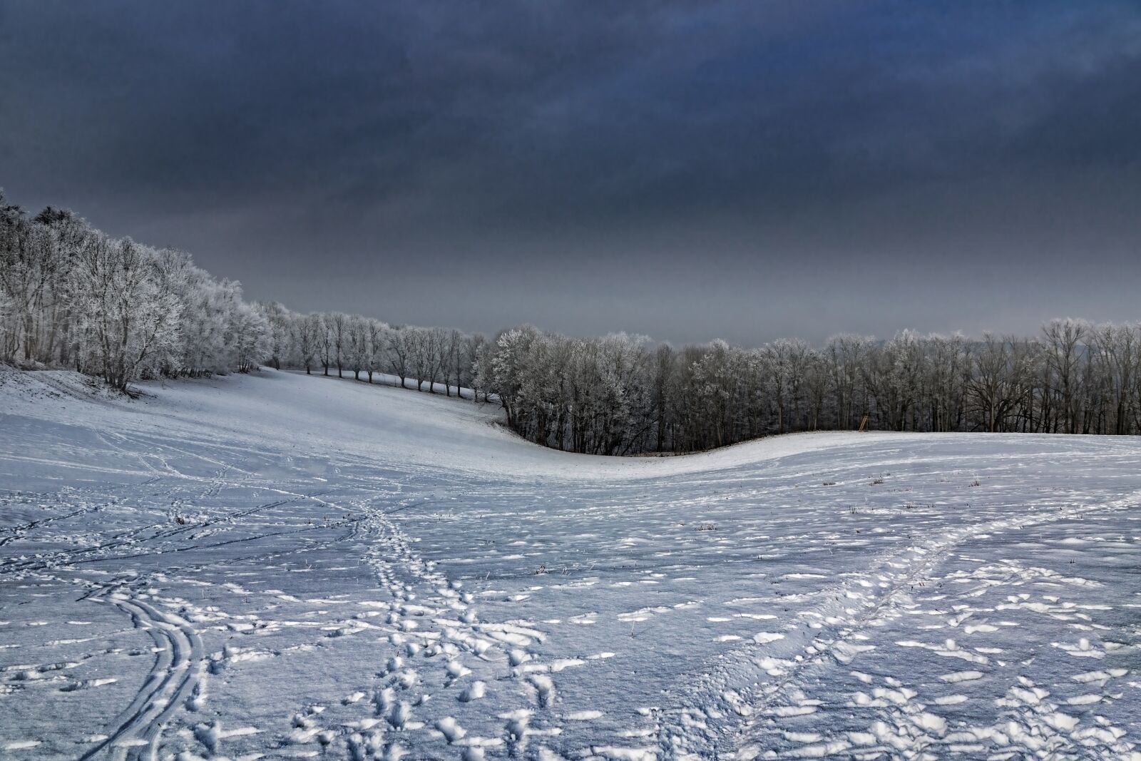 Sony SLT-A77 + Sony DT 16-50mm F2.8 SSM sample photo. Winter, snow, meadow photography