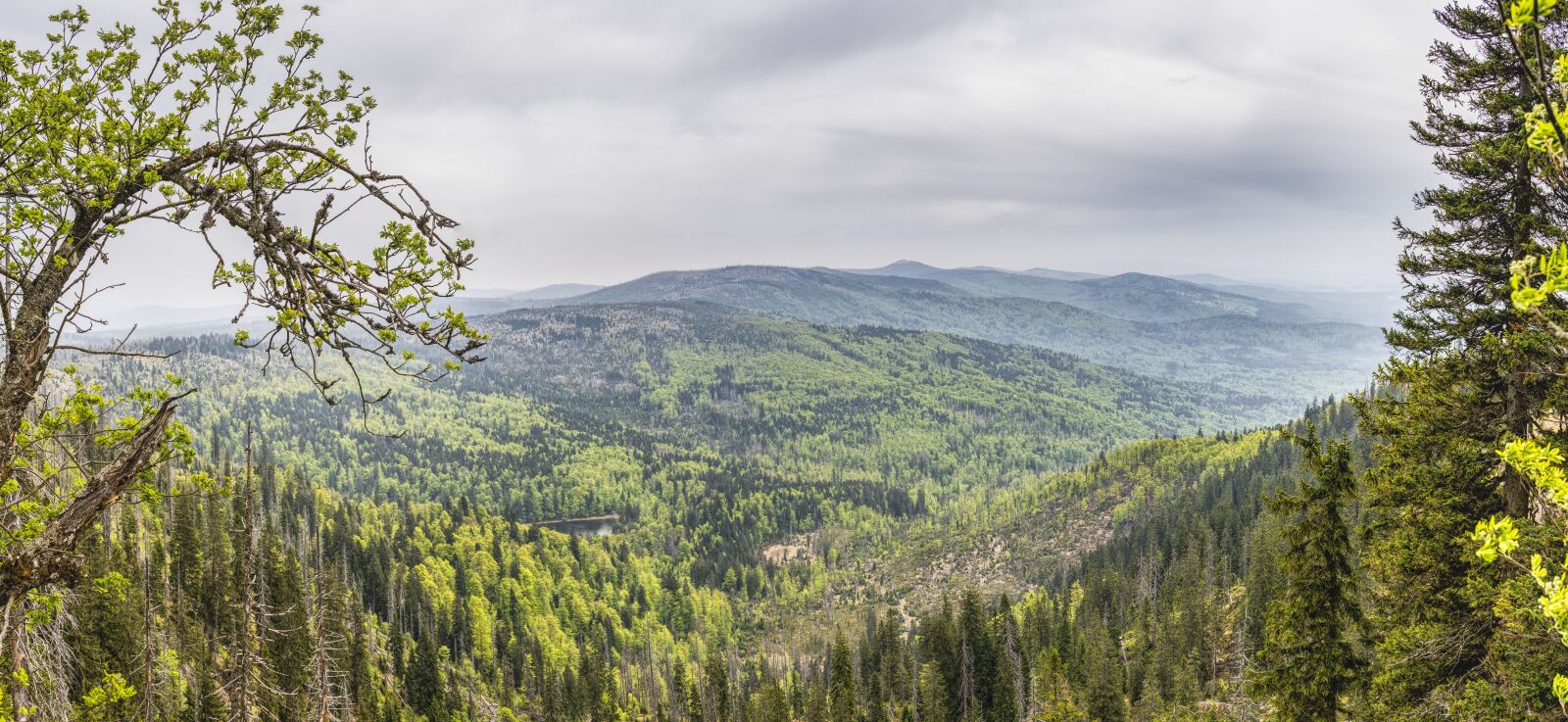 Sony a6300 + Sigma 30mm F2.8 EX DN sample photo. View, bavarian forest, bavaria photography