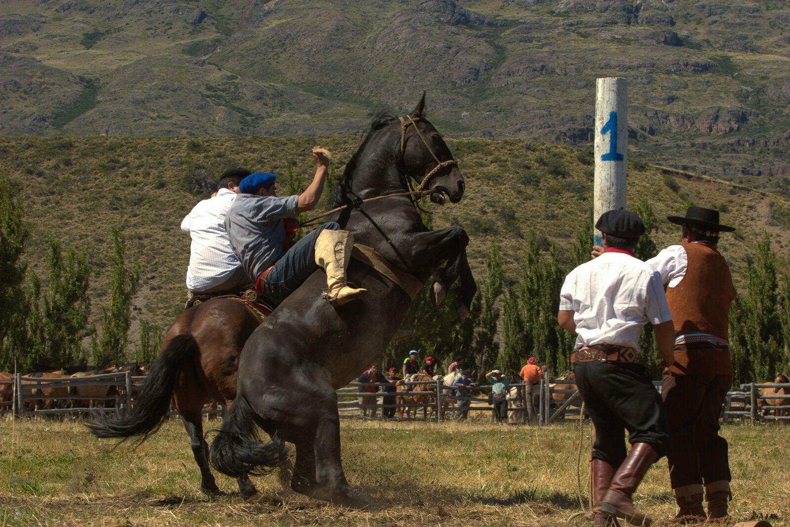 Canon EOS 20D sample photo. Aysen, gaucho, pa photography