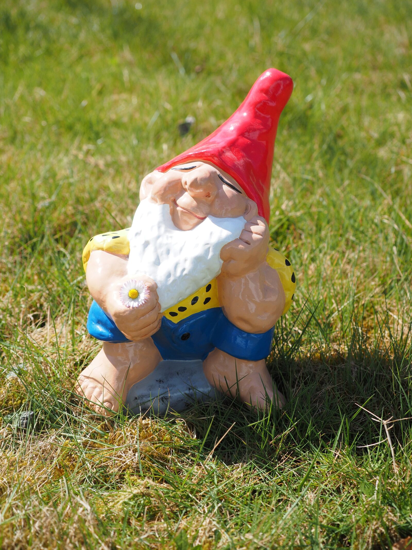 Olympus OM-D E-M1 + Olympus M.Zuiko Digital ED 12-40mm F2.8 Pro sample photo. Dwarf, garden gnome, satisfied photography