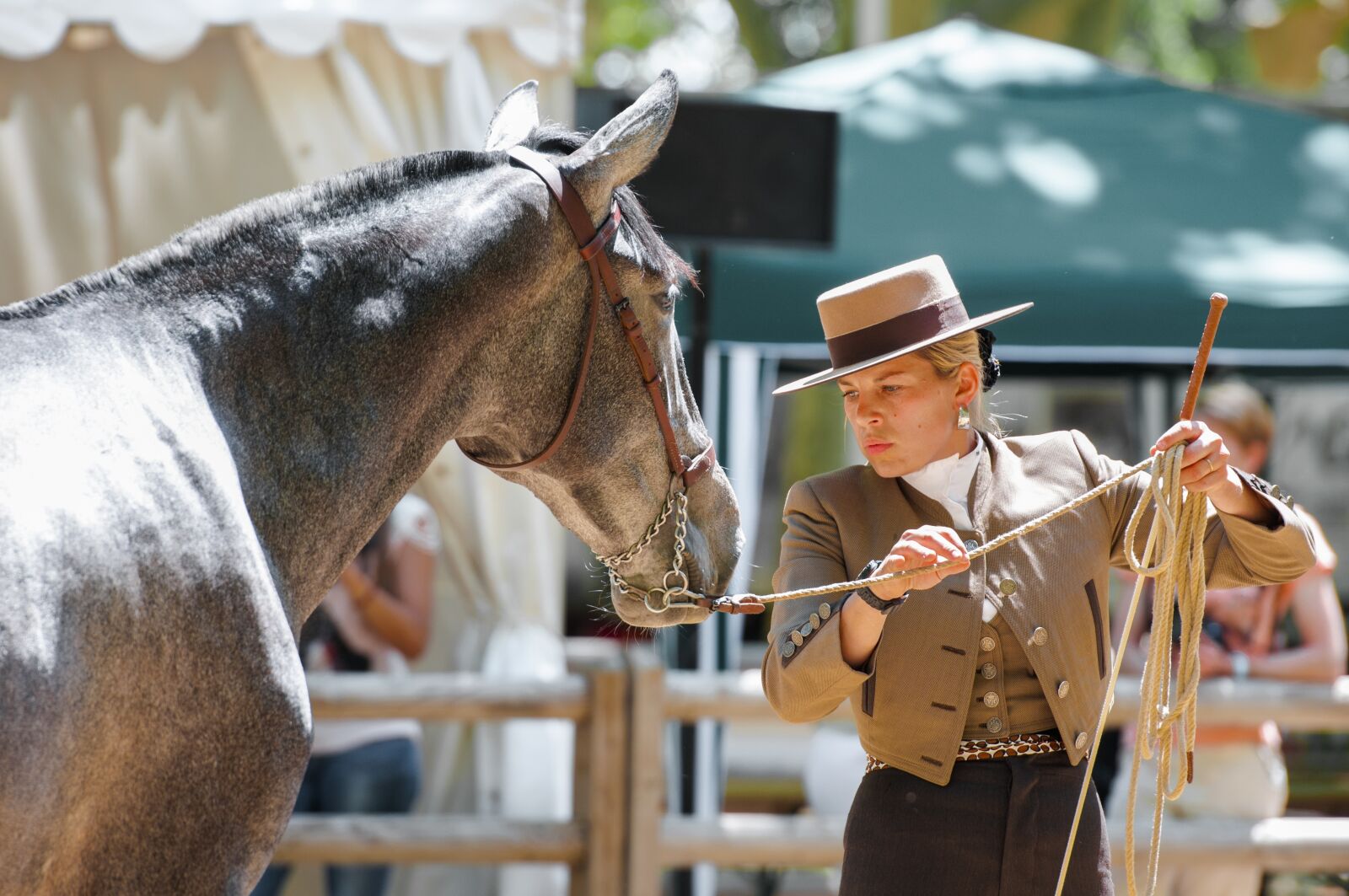 Nikon D300S sample photo. Horse, dressage, contest photography