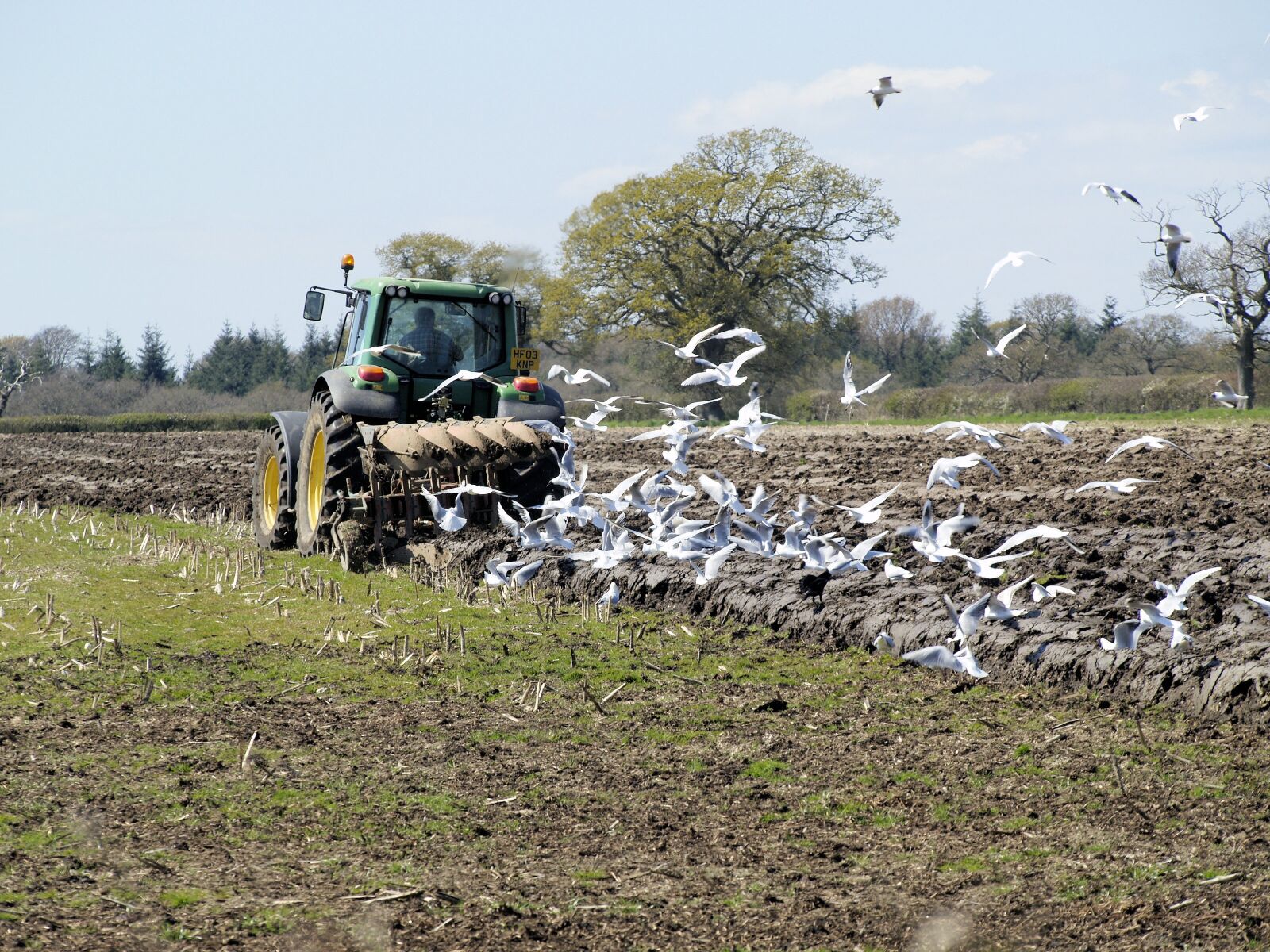 Olympus E-400 (EVOLT E-400) sample photo. Ploughing, agriculture, tractor photography