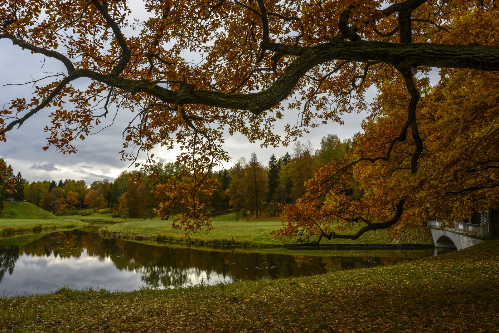 Nikon D5200 sample photo. Landscape, park, autumn photography