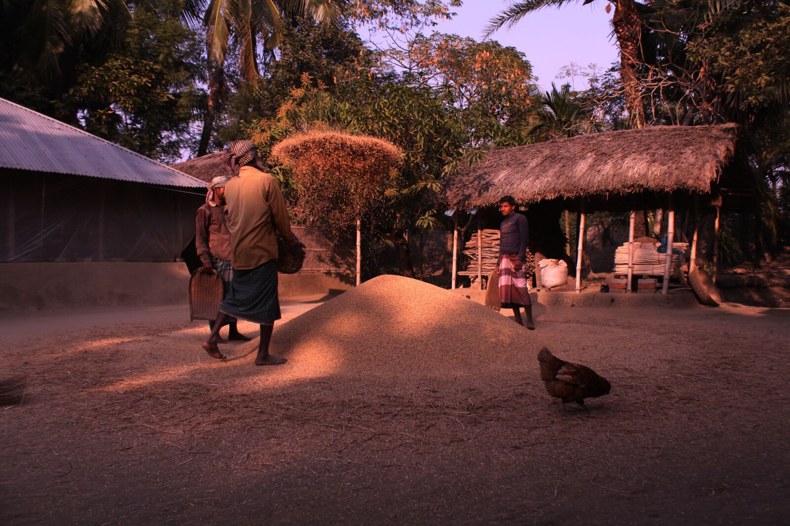 Canon EOS 500D (EOS Rebel T1i / EOS Kiss X3) sample photo. Bangladesh, canal, fisherman, nature photography